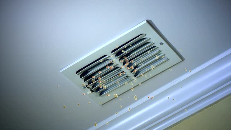 Best Dryer Vent Cleaning Services  in Concord, AL