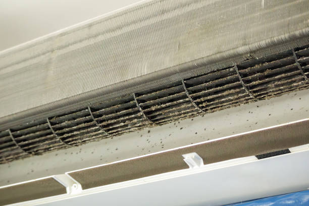 Best Ductwork Cleaning Services  in Concord, AL